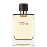 Terre d'Hermès EDT  100ml-200876 0